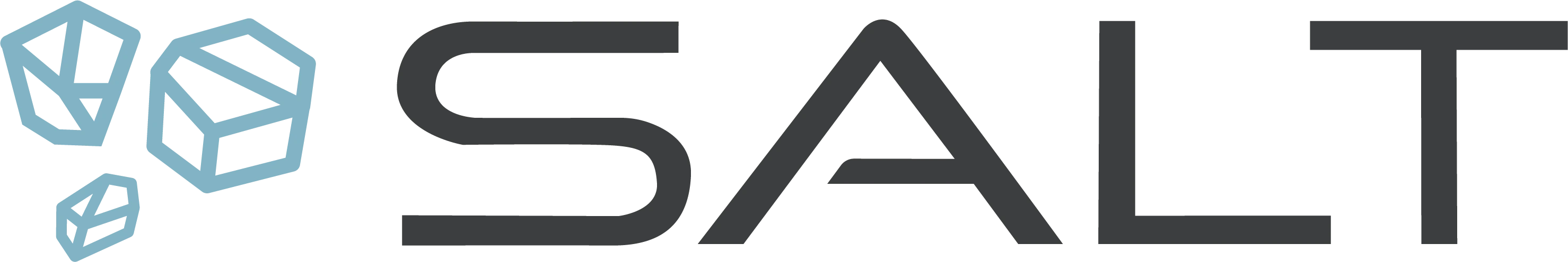 SALT Marketing Logo